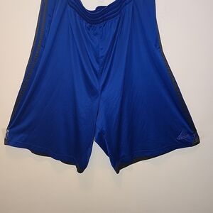 Adidas Blue Athletic Shorts